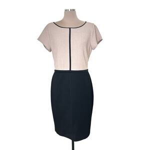 Ann Taylor Factory Dress Size 12 Short Sleeve Knee Length Black Cream Casual